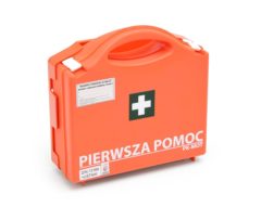 First-aid cabinet AZP110 with kit