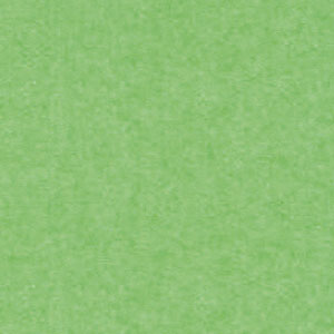 Бристольский картон светло-зеленый