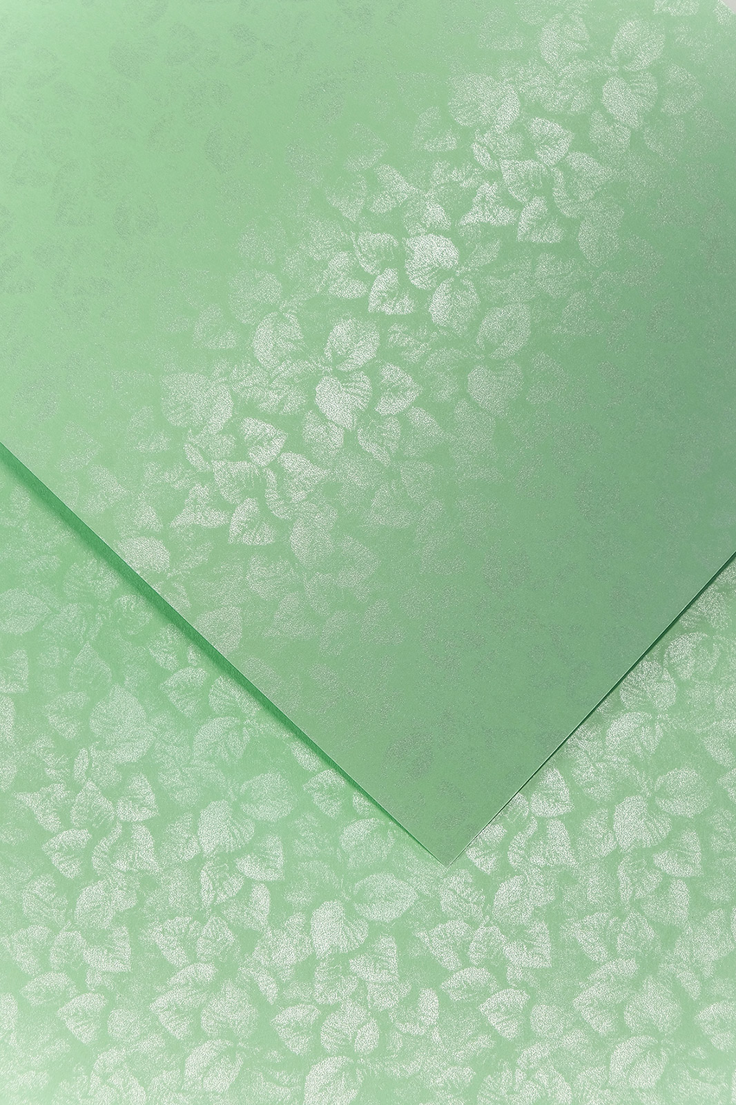 Дизайнерский картон Листья
