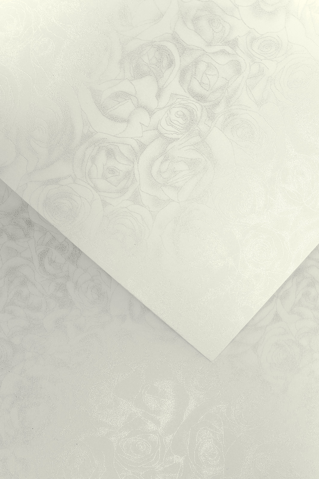 Decorative Premium card paper Roses