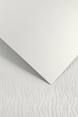 Decorative card paper Pacific
