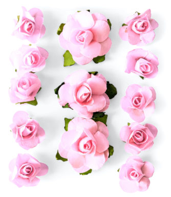 Kwiaty Róże jasnoróżowy