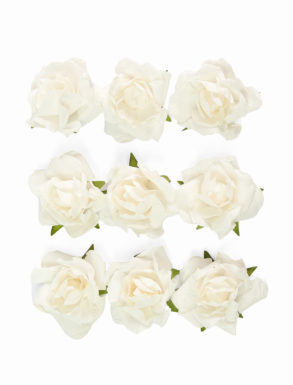 Kwiaty Róże biały