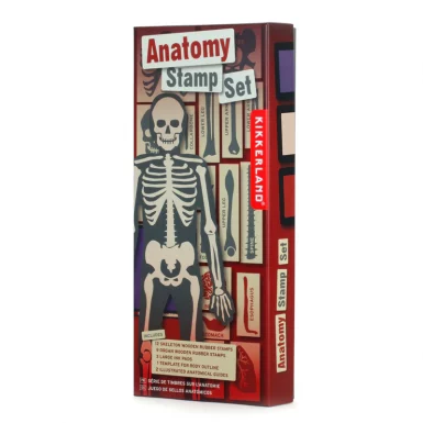 Anatomy stamps