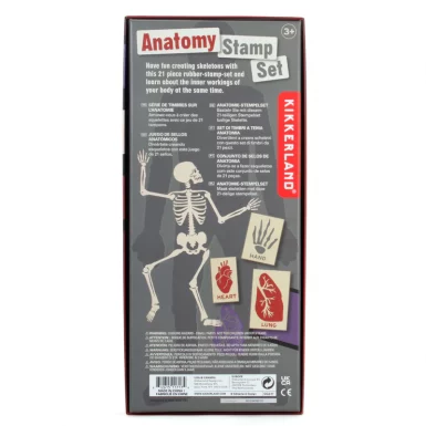 Zestaw stempli Anatomia