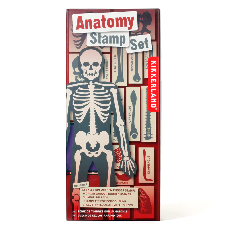 Anatomy stamps