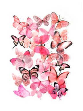 Transparent stickers Pink Butterflies