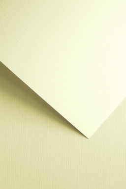 Decorative Card Paper Canvas 240 g