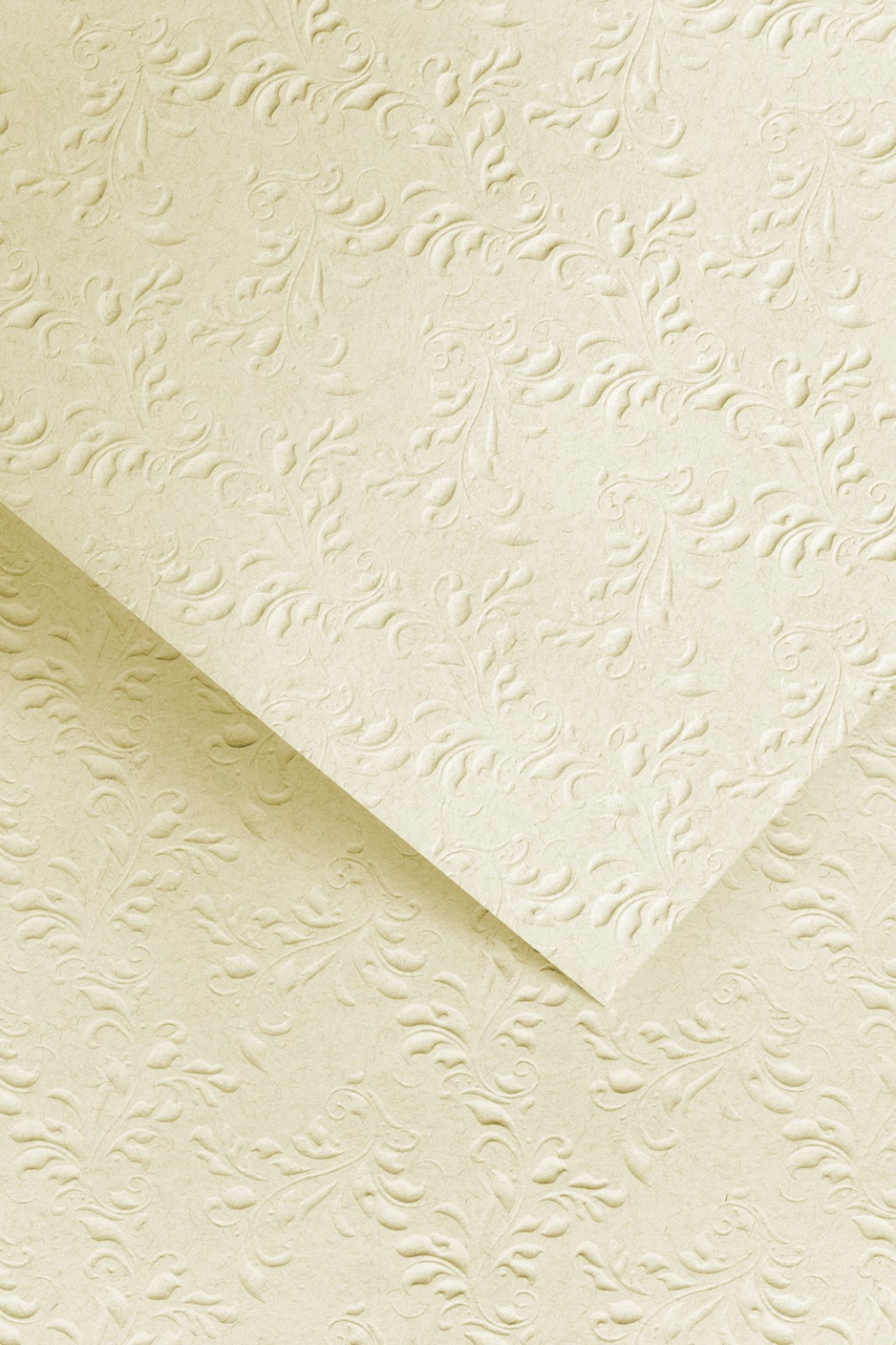 Decorative card paper A4 NATURE light beige with embossing