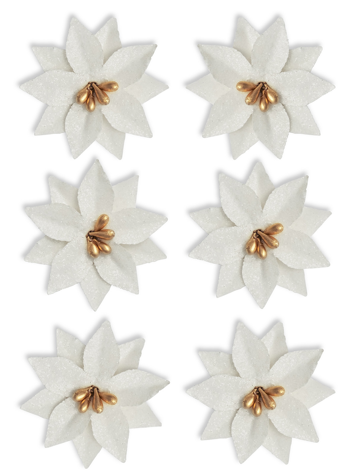 Paper flowers POINSETTIA white